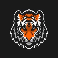Tiger Youth Travel Basketball (@tigerstravelbb) Twitter profile photo