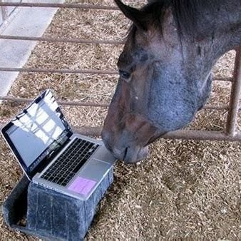 vinny_grub's profile picture. 22 | she/her || A unicorn occasionally 🐎 | I try to draw often ||🔞 Artistic nudity|