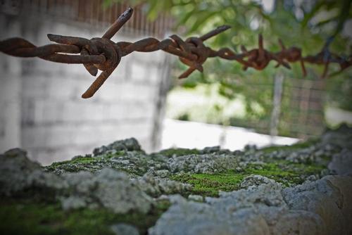 _outOFnowhere's profile picture. 