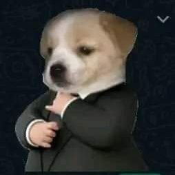 RopchuGopuZz90's profile picture. Molli    5AM