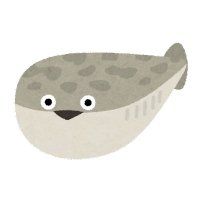 いしはた (@ishihata_quiz) 's Twitter Profile