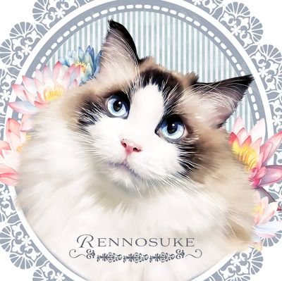 蓮之介🐾時々桜姫🐾🌸さんのプロフィール画像