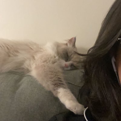 cat person.