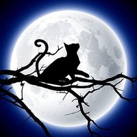 k y〜✮꒰ঌiLYs໒꒱ (@yk03hn) 's Twitter Profile Photo