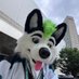 Cyber Husky (@cyberhuskydog) Twitter profile photo Cyber Husky (@cyberhuskydog) Twitter profile photo