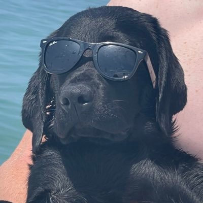 CavRonald's profile picture. 