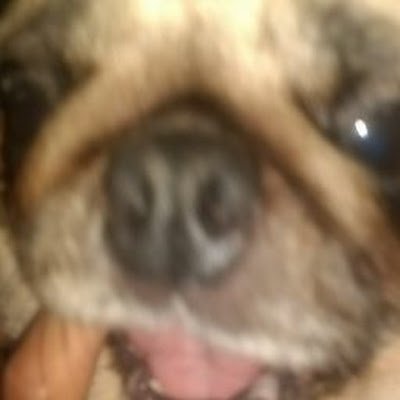 X1Felype78551's profile picture. 