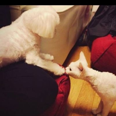 inie1027's profile picture. Everyday is Sunnyday🌞