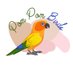 Pom Pom Birds (@PomPomBirds) Twitter profile photo