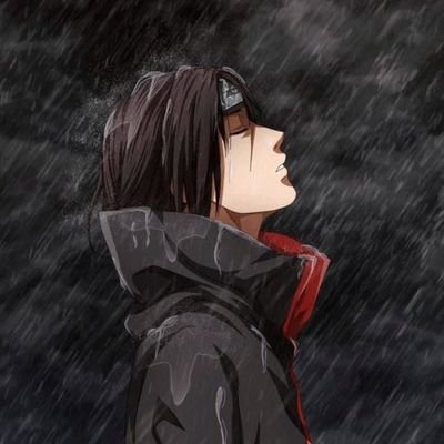 singularidaden0's profile picture. 🚂
