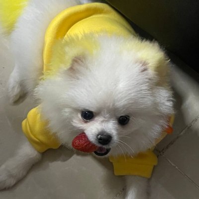 bvcv13391000's profile picture. I am looking for friends o heree!