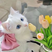 Terry (@tsan37578) 's Twitter Profile