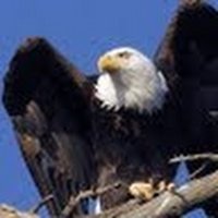 Steve Ford (@stevefordvnv) 's Twitter Profile