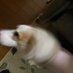 gimei (@gimeitsukawanai) Twitter profile photo gimei (@gimeitsukawanai) Twitter profile photo
