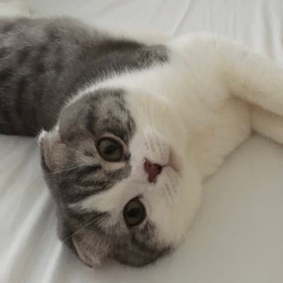 Coco_20190720's profile picture. 