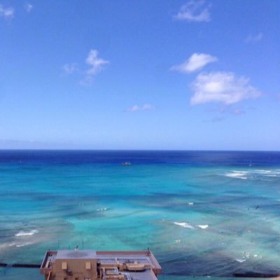 ハワイと夏と海が大好き。癒しのある生活を目指してます。日本が安心して暮らせる様な感じが薄れて行くのを痛感してます。