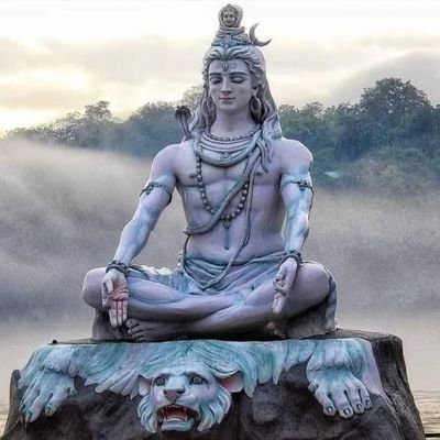 gautamsachmba's profile picture. He/Him