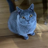 Mark in California (@charles95684721) 's Twitter Profile Photo Mark in California (@charles95684721) 's Twitter Profile Photo