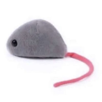 workerscomp_'s profile picture. 