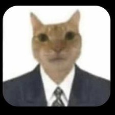 SkizzleRizzle's profile picture. 18
Just a Lil business guy
Professional biscuit maker