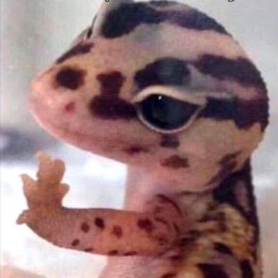 ng74621812's profile picture. 