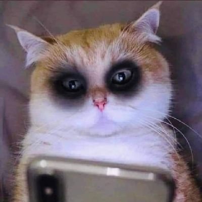 PK1975637383's profile picture. 