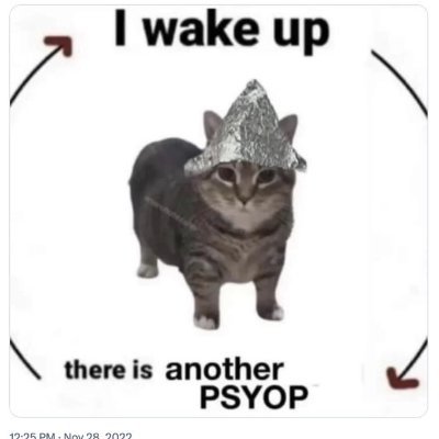 _vikarino_'s profile picture. 