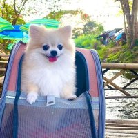 จิ๋นซี (@ktessri) 's Twitter Profile