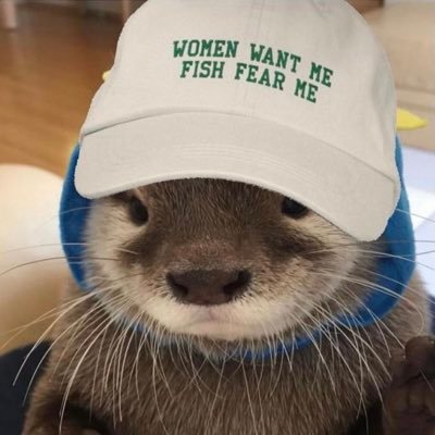 Arkyistotle's profile picture. Himothy Nuetron