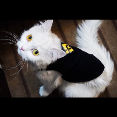 mademillyy's profile picture. Medical 🏥 s | writer | NFT