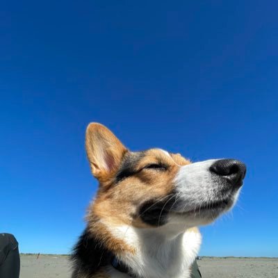 yaboyytim's profile picture. living the 日本人 dream.