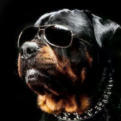 Ph1lsX's profile picture. 