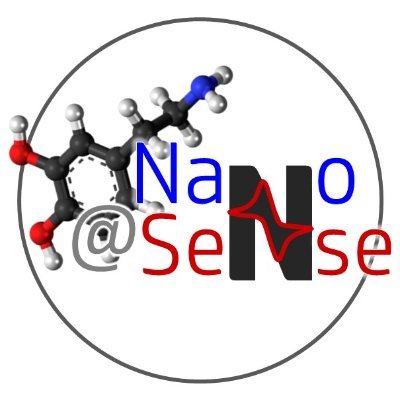 Electroanalysis group @CaFoscari (DSMN), exploring the application of nanomaterials in electrochemical sensors for health and enviromental monitoring.