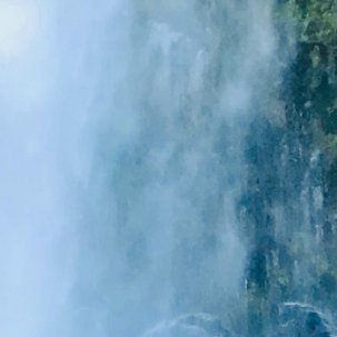 Vortexpure98562's profile picture. 