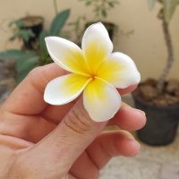 Mohanad (@mohanad12334611) 's Twitter Profile