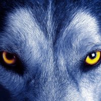 Trader 🇬🇧 🇺🇸 (@usbrokerdesk) 's Twitter Profile Photo Trader 🇬🇧 🇺🇸 (@usbrokerdesk) 's Twitter Profile Photo