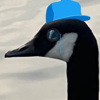 Gänsebraten - verdammt ist es warm (@gansvorn) 's Twitter Profile