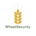 WheatSecurity (@wheatsecurity) Twitter profile photo WheatSecurity (@wheatsecurity) Twitter profile photo