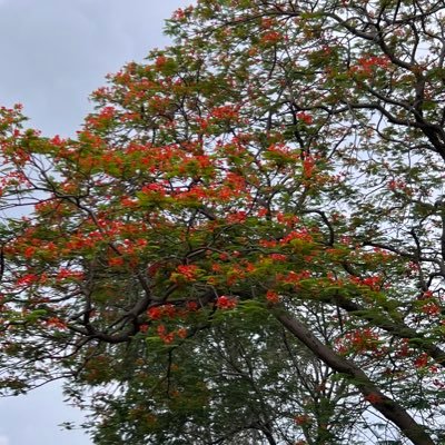 asifemami's profile picture. 27 July 1980