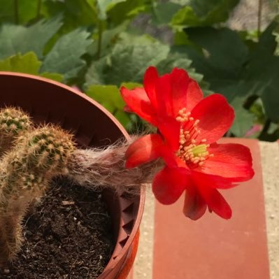 OdileRoux1's profile picture. 