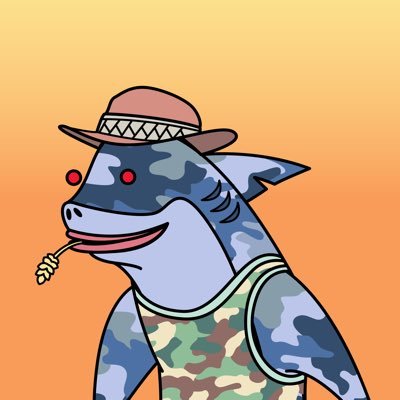 BobRash79's profile picture. 