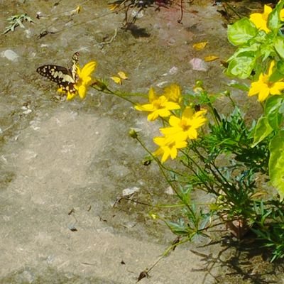 nth0123960's profile picture. 