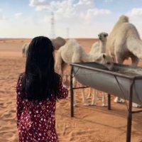 حـــرف الشعـــر ..⚜️ (@ri____511) 's Twitter Profile Photo