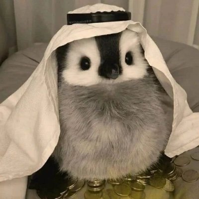 Sss180L's profile picture. Und Doch