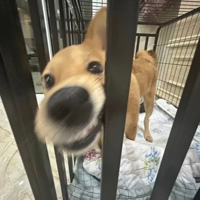 xyxy6677's profile picture. 是宇呀～ 05男高  推至于推   没有其他平台  喜欢运动  🫷🏻出原味🧦 出本人露脸视频 需要➕q 2386328297 （🛰️门槛88）不喜勿关