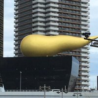 エレクトリック木魚 (@radyere) 's Twitter Profile