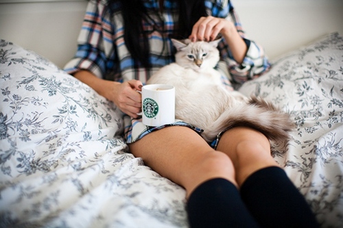 An_Olya's profile picture. :)