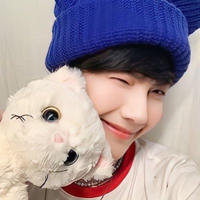 asapthourluve's profile picture. bán đồ chơi cho mèo