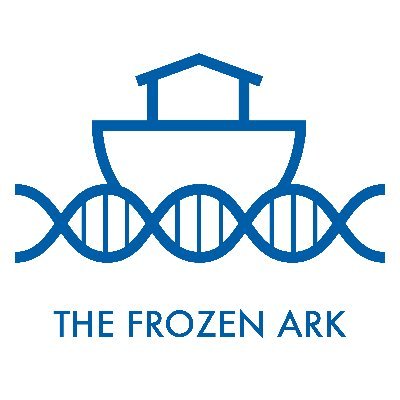 frozenark Profile Picture