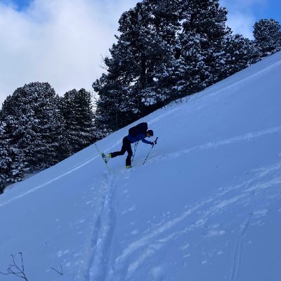 Dauphinois - Bruxellois. APA @GreensEFA @Europarl_FR. Passionné de montagne et de tous les sports qui servent à la grimper.